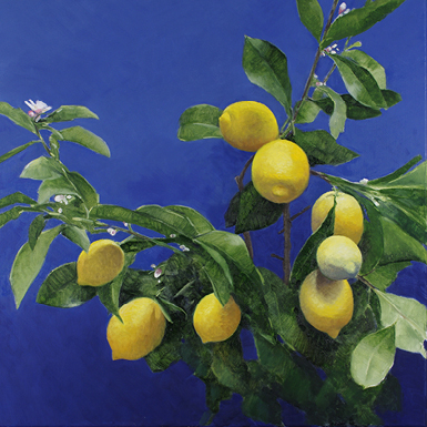 Unlemon - a meandering tale of citrus by Alison Mitchell