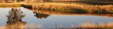 Image of water dam
