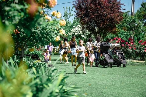 Events - Spring Fest - Open Gardens - Careri - Franca Virgara - 2024 (63).jpg